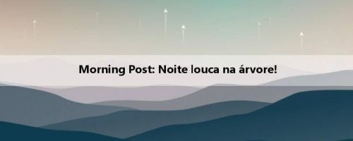Morning Post: Noite louca na árvore!